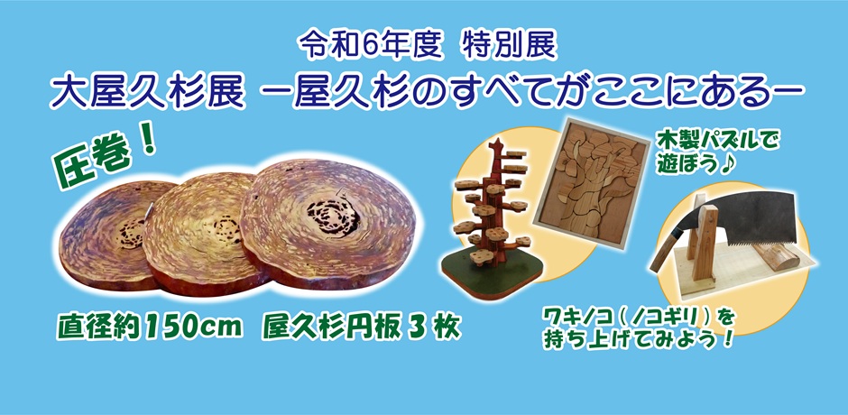 特別展「大屋久杉展―屋久杉のすべてがここにある―」