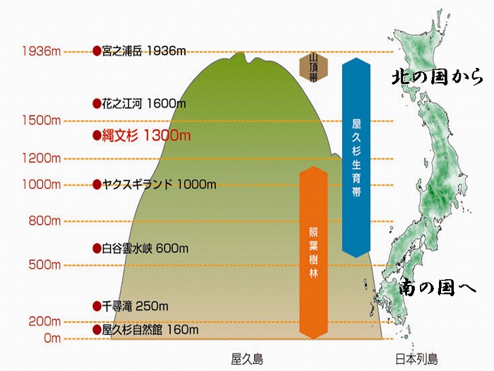 南北2000ｋmにおよぶ日本列島の自然がつめ込まれている