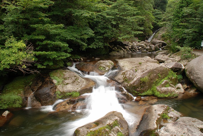 白谷川の清流