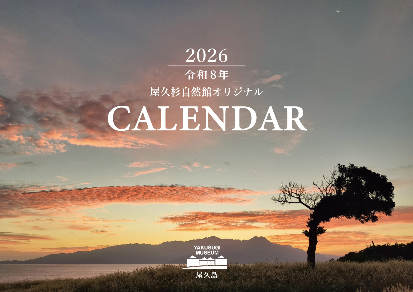 カレンダー表紙